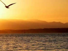 nice_pic_design_photo_51_1_