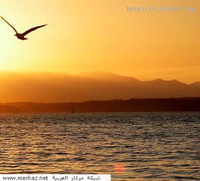 nice_pic_design_photo_51_1_