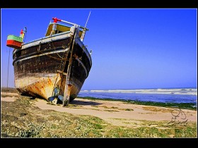 صور من ابداع اعضاء عمان فوتو