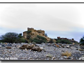 صور من ابداع اعضاء عمان فوتو