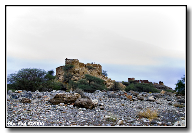 صور من ابداع اعضاء عمان فوتو