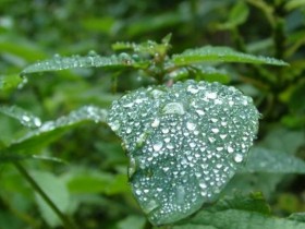 صور منوعة من الإنترنت