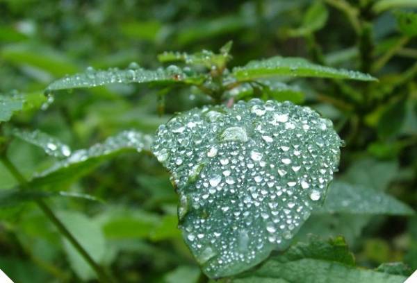 صور منوعة من الإنترنت