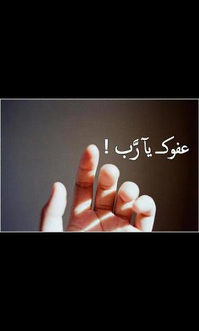 251851_319983268080397_1855751618_n