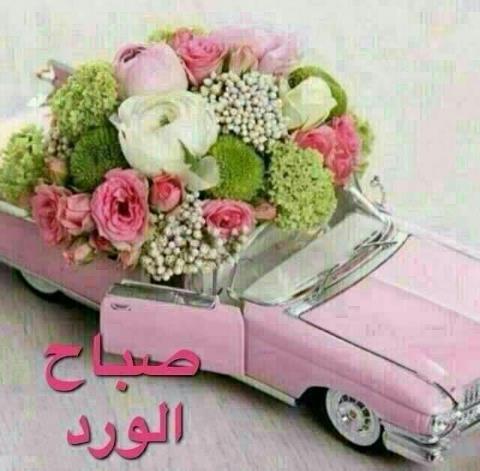 484216_345996285511920_769252333_n