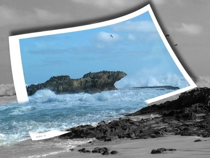 \\KWR-OM-FPS-01\MyDocument$\14120\My Documents\My Pictures\45.JPG