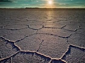 2045239027_1d4c582ad9_1_