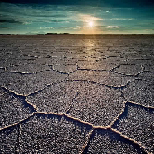 2045239027_1d4c582ad9_1_