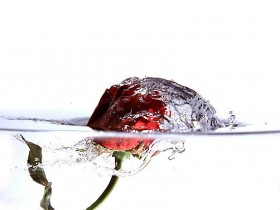 nice_pic_design_photo_48_1_