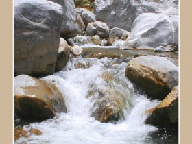 صور من ابداع اعضاء عمان فوتو