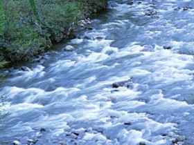 CP7_L-3SL-com_1_