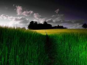 1209379238_21_04_2008_08587470012087_1_