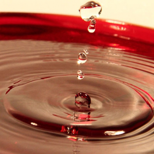 1468841179297657426_1_