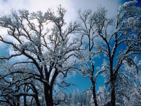 w6w20060429013114e854d786_1_