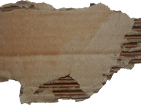 BVS_beautiful_cardboard