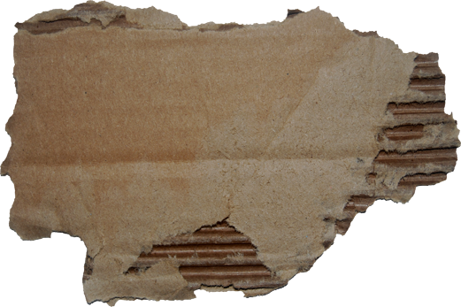 BVS_beautiful_cardboard