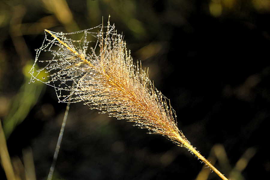 1546586-6143f45d000099f8_2_