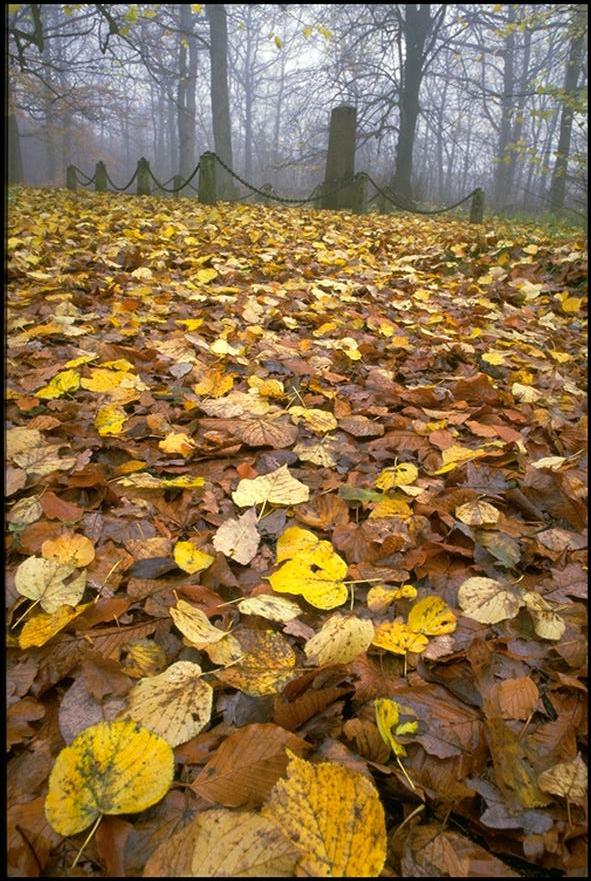 w6w20060429013114eb8bcac4_1_