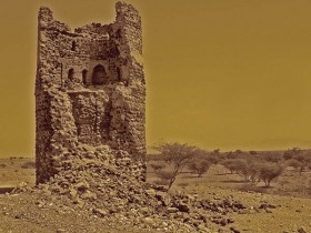 صور من ابداع اعضاء عمان فوتو