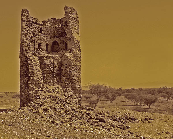 صور من ابداع اعضاء عمان فوتو