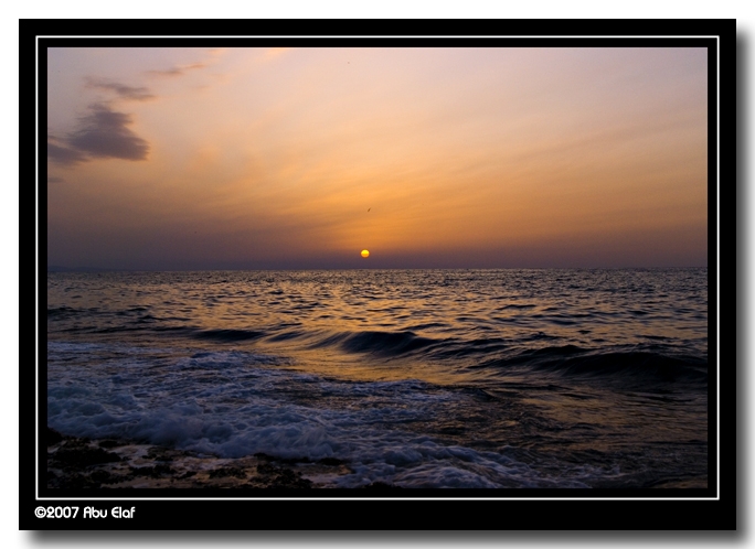 صور من ابداع اعضاء عمان فوتو
