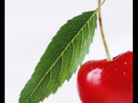 صور من ابداع اعضاء عمان فوتو