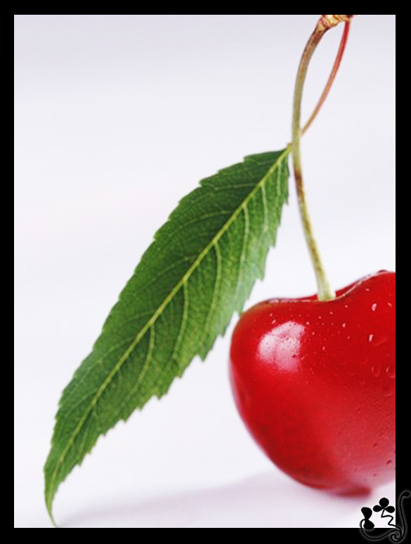 صور من ابداع اعضاء عمان فوتو