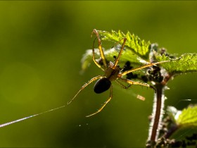صور منوعة من الإنترنت