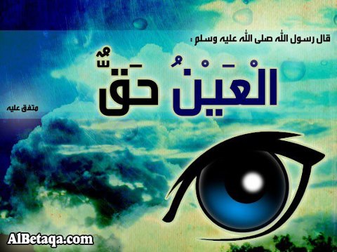 484649_10151285100265493_809448392_n