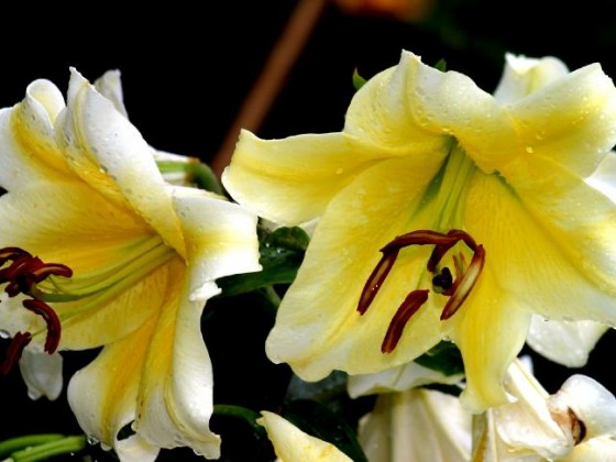 قف بجانبي !!!!