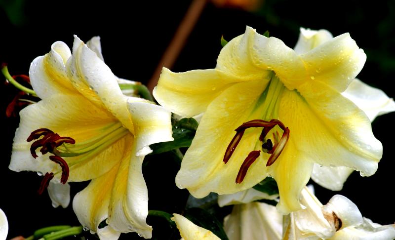 قف بجانبي !!!!