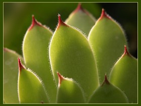 1540769-51fd60f939de9094_1_