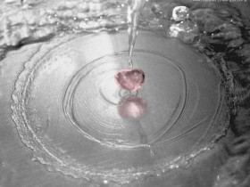 nice_pic_design_photo_46_1_