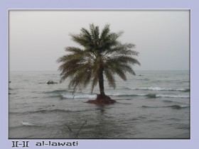 صور من ابداع اعضاء عمان فوتو