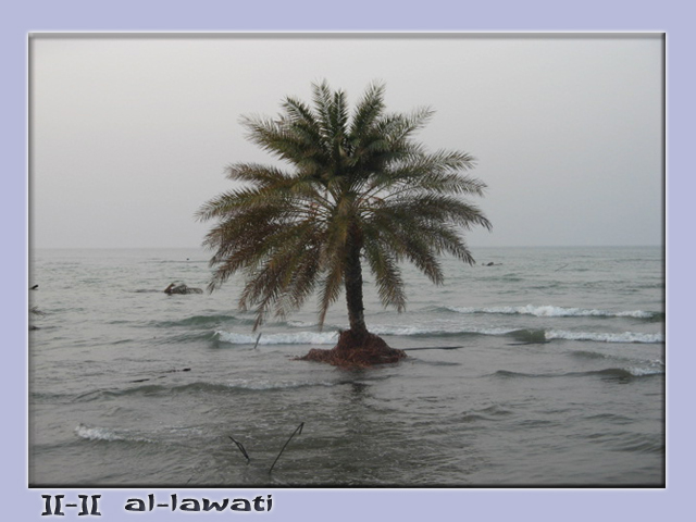 صور من ابداع اعضاء عمان فوتو
