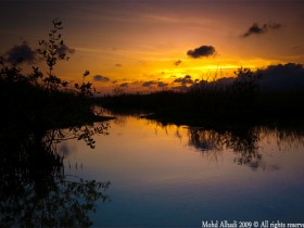 صور من ابداع اعضاء عمان فوتو