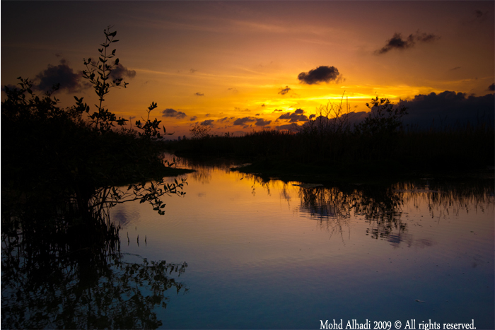 صور من ابداع اعضاء عمان فوتو