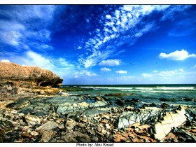 صور من ابداع اعضاء عمان فوتو