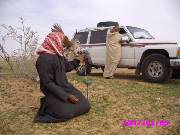 ركزوا  جيدا  بالصورة ماذا ستلاحظون