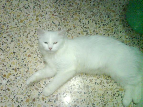 DSC00025