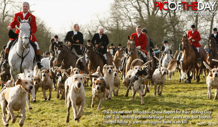 الكلاب وراء أو مطاردة الثعالب