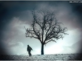 nice_pic_design_photo_15_1_