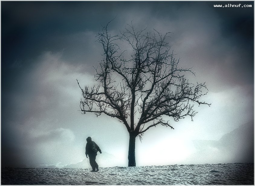 nice_pic_design_photo_15_1_