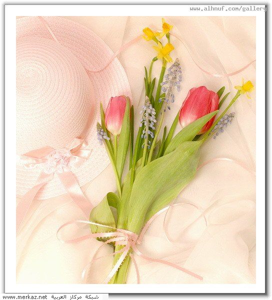 nice_pic_design_photo_63_1_