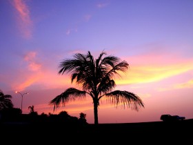 صور من ابداع اعضاء عمان فوتو