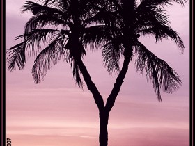 صور من ابداع اعضاء عمان فوتو