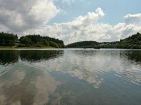 صور منوعة من الإنترنت