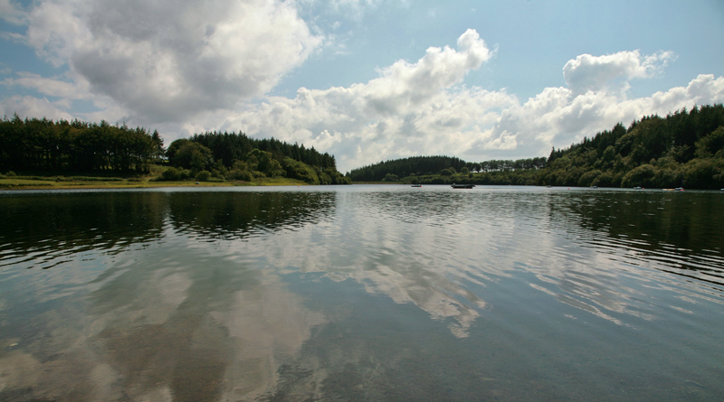 صور منوعة من الإنترنت