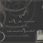 alkaleg_com215012007103053013