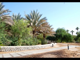 صور من ابداع اعضاء عمان فوتو